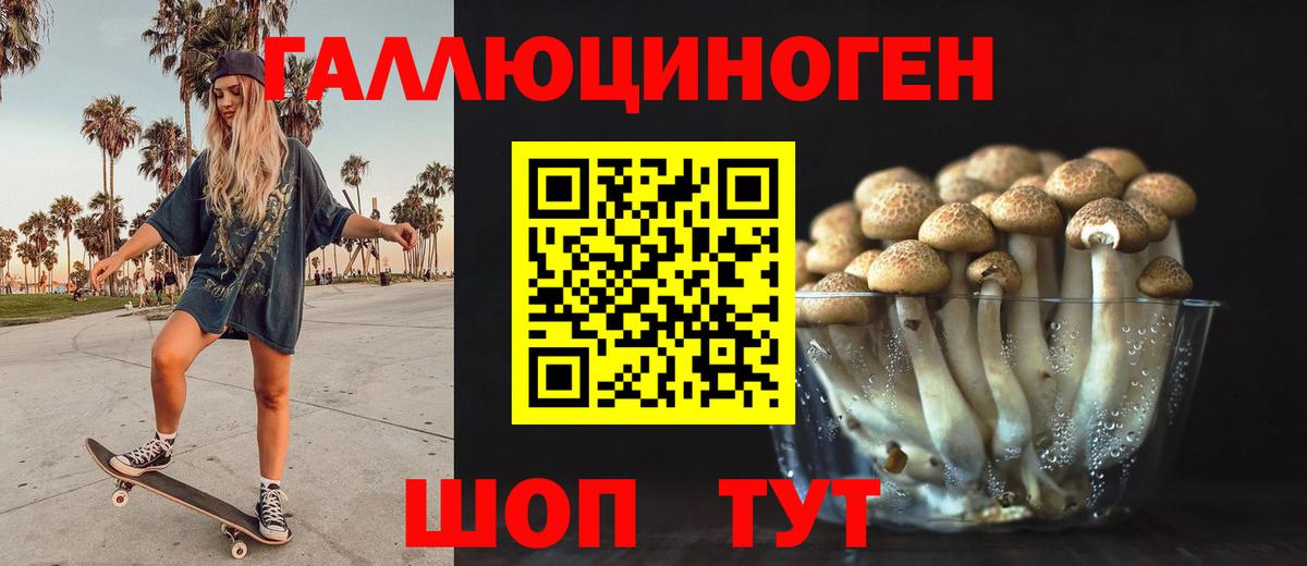 Галлюциногенные грибы Cubensis Россошь
